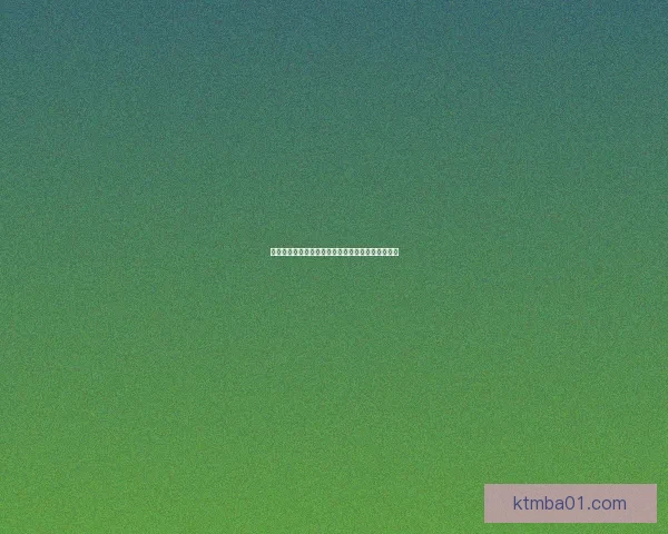 基于炮塔防御修改器的策略优化与游戏体验提升探讨