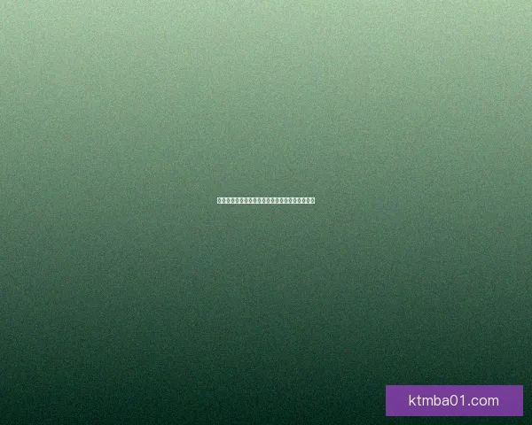 幻燐之姬将军：剑指苍穹，命运与荣耀的交织之路