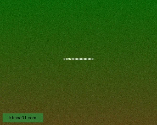 基于Rank查询优化的智能算法研究与应用探索