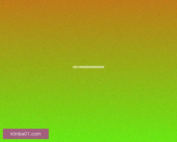 幻世录2游戏物品代码解析与使用指南详细解读